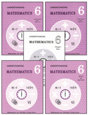 Rod & Staff Grade 6 Math Set